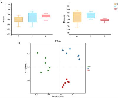 Different feeding strategies can affect growth performance and rumen functions in Gangba sheep as revealed by integrated transcriptome and microbiome analyses